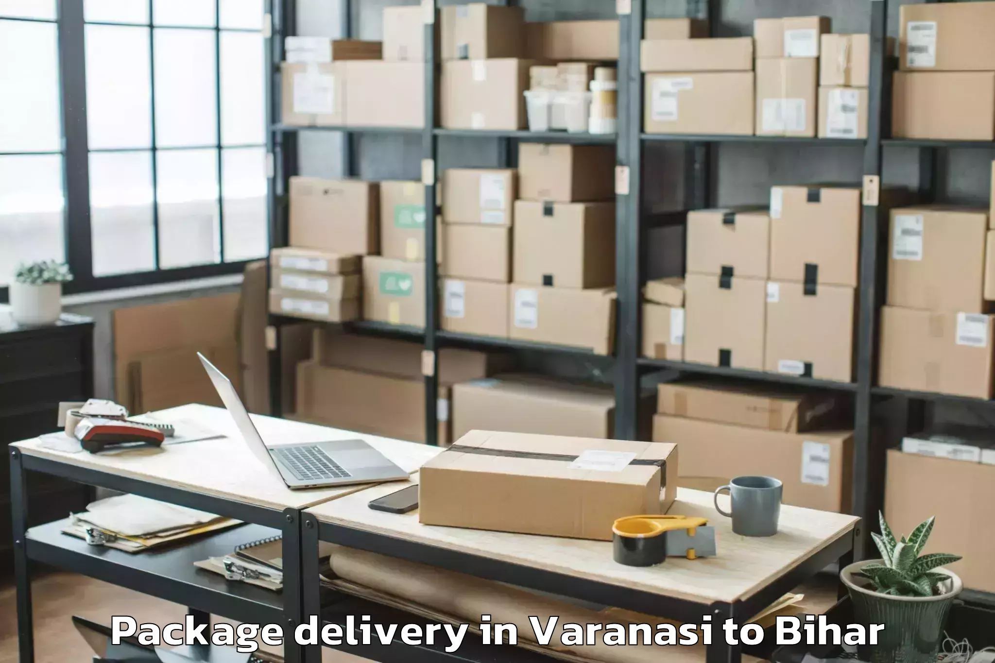 Book Varanasi to Vasundhra Metro Mall Package Delivery